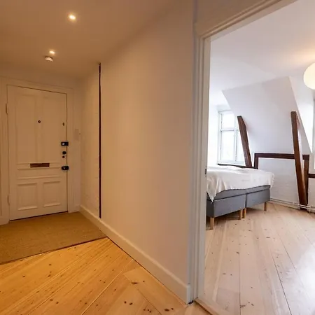 Apartment Penthouse In The Heart Of Copenhagen
