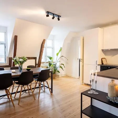 Penthouse In The Heart Of Copenhagen