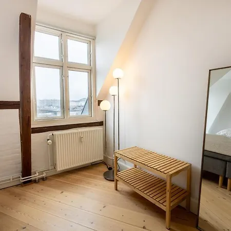 Apartment Penthouse In The Heart Of Copenhagen